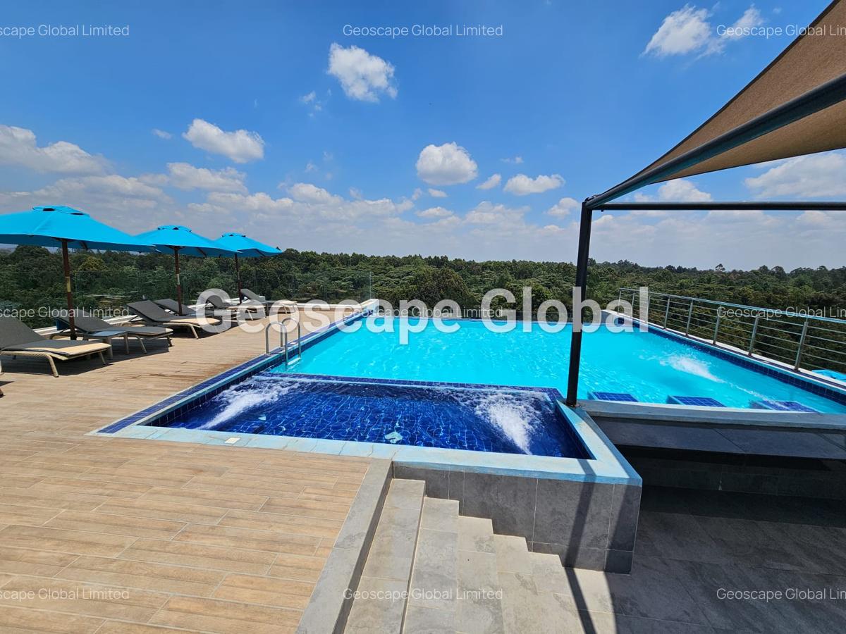 Furnished 3 Bed Apartment with En Suite in Spring Valley - 2