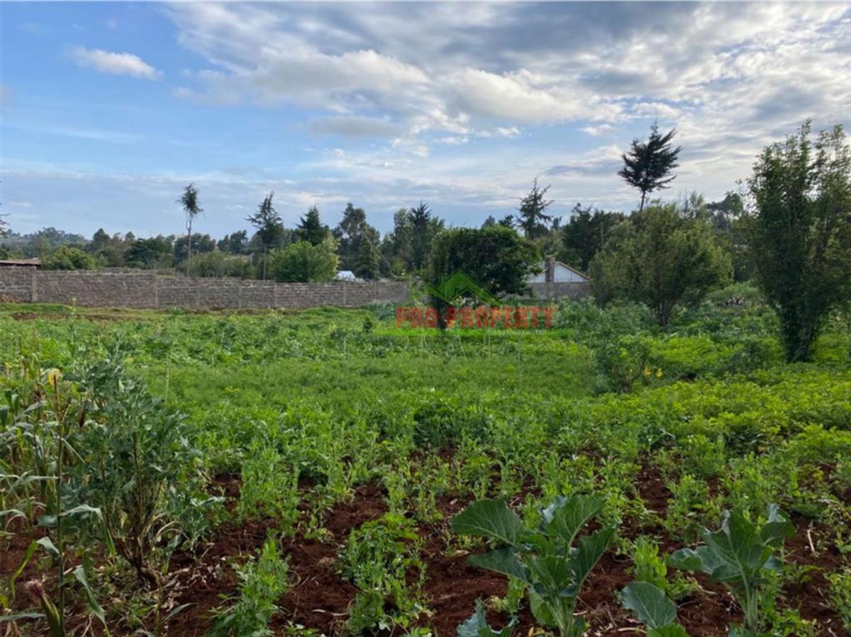 4,000 m² Land in Limuru - 7