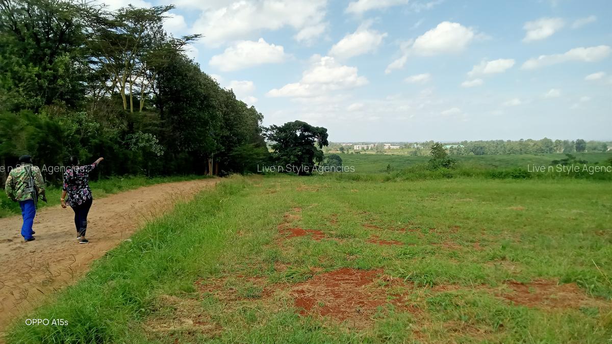 Residential Land in Runda - 8