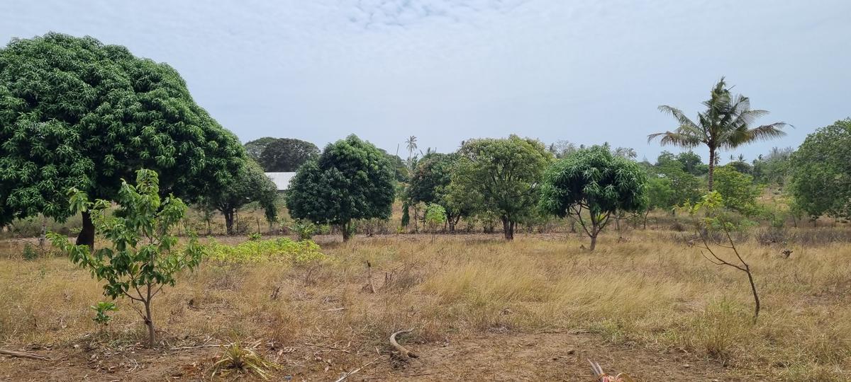 500 m² Land at Retreat - 8