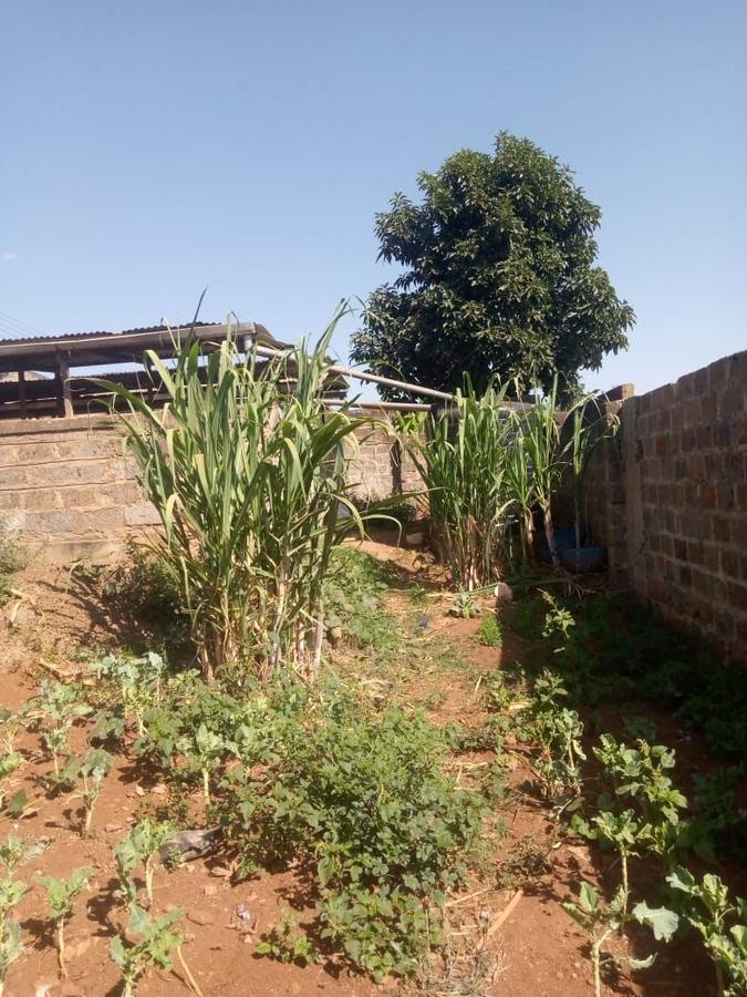 0.25 ac Land at Ngoingwa Estate Thika - 8