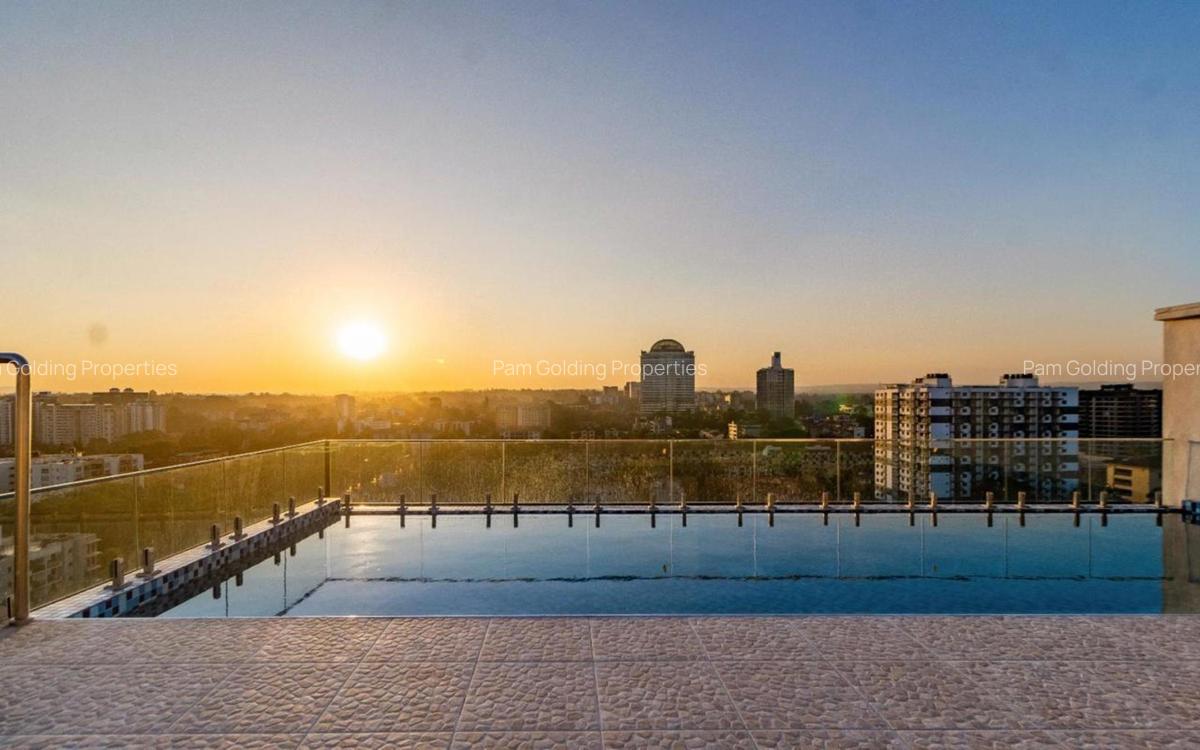 Furnished 1 Bed Apartment with En Suite in Rhapta Road - 14