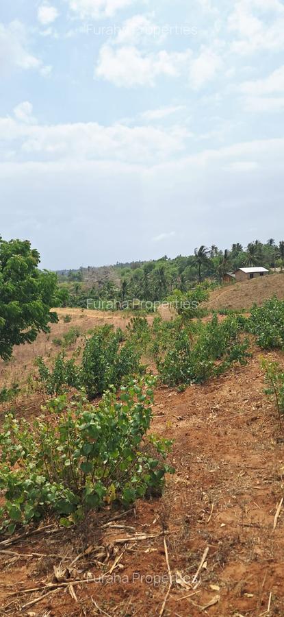 Land in Kilifi - 1