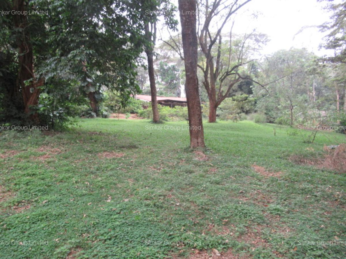 4 ac Land at Mushroom Gardens - 15