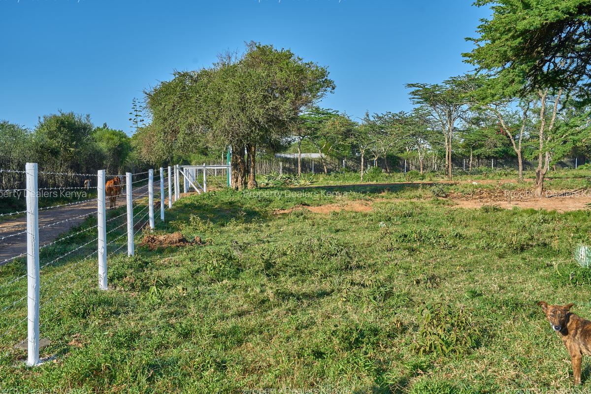 505 ac Land at Maiyan Road - 6