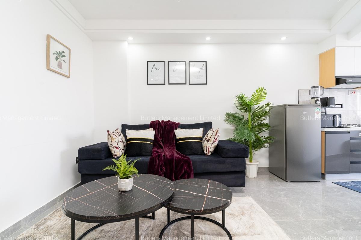 Furnished 1 Bed Apartment with En Suite in Kileleshwa - 6