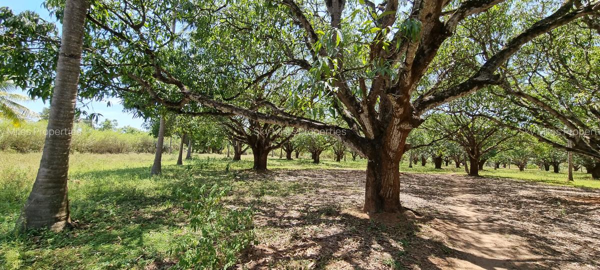 6 ac Land at Mtwapa - 16