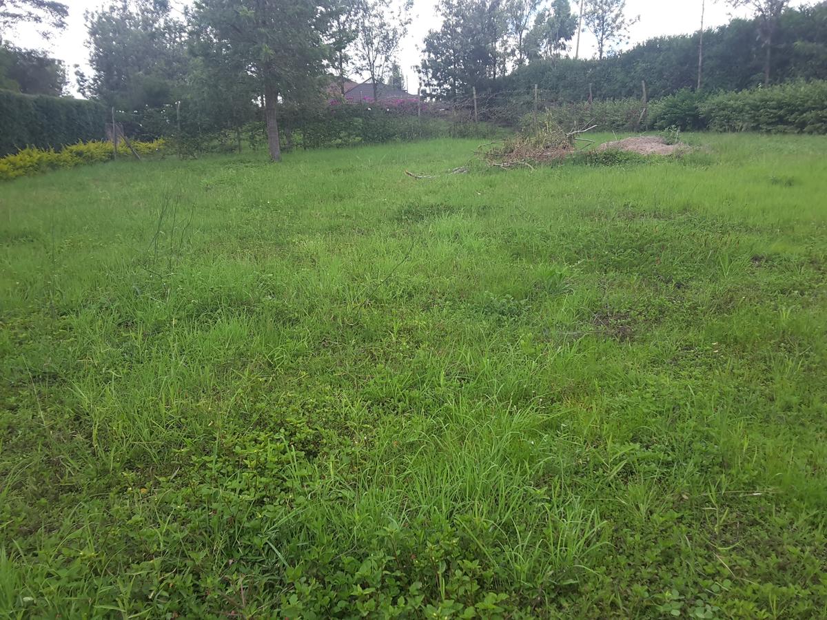 0.1 ha Residential Land in Ongata Rongai - 4