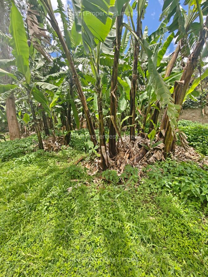 0.5 ac Land in Garden Estate - 1