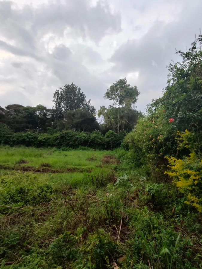 Residential Land at Ndege Road - 11