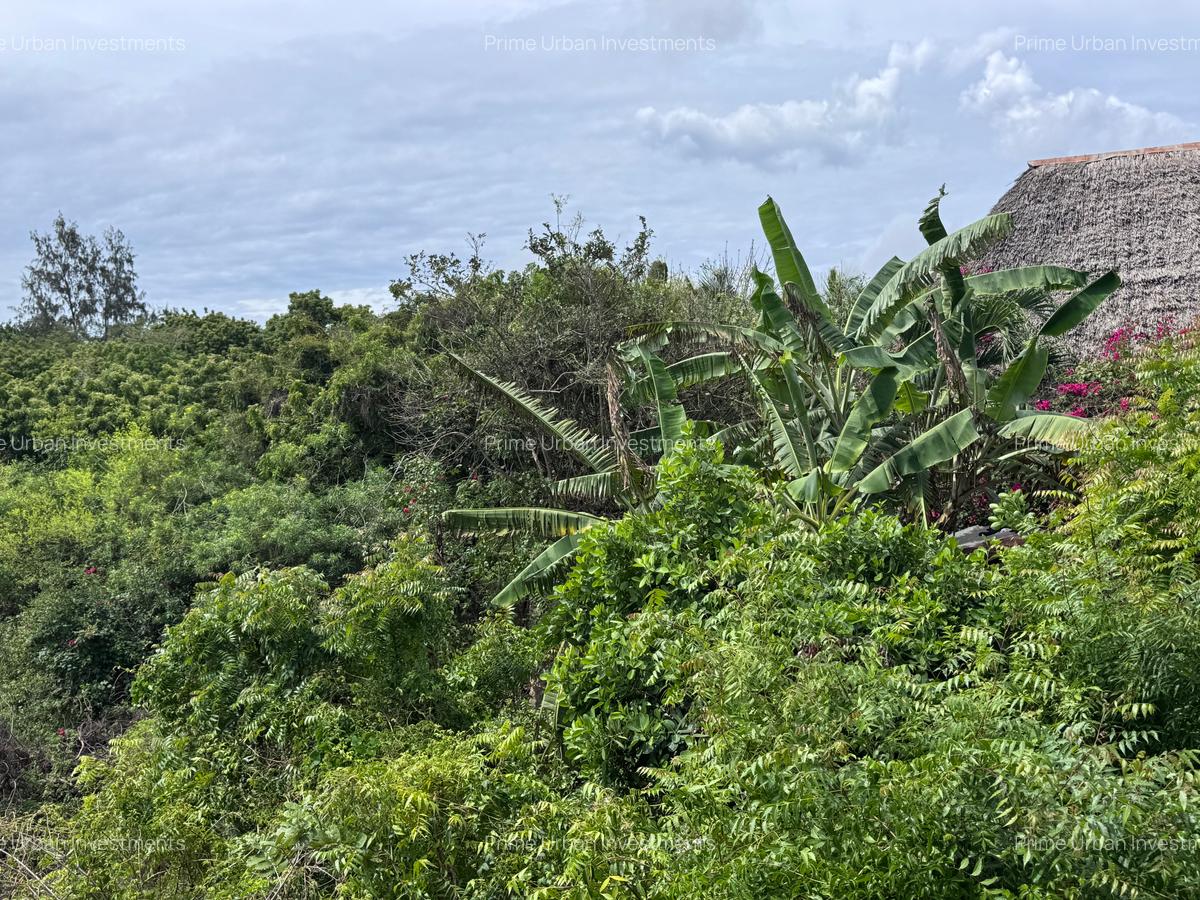 8,093.72 m² Land at Diani 3Rd Row Beach - 10