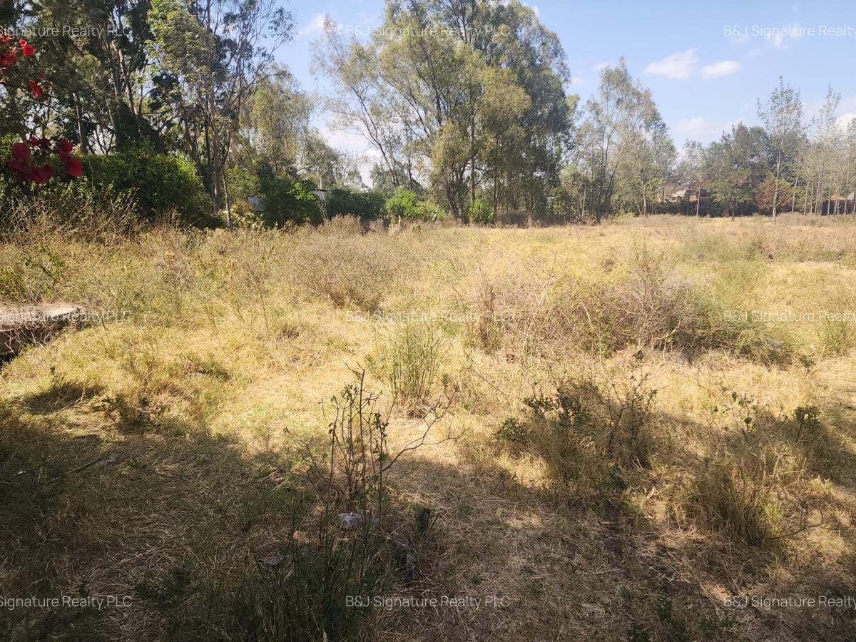 0.5 ac Land in Karen - 4