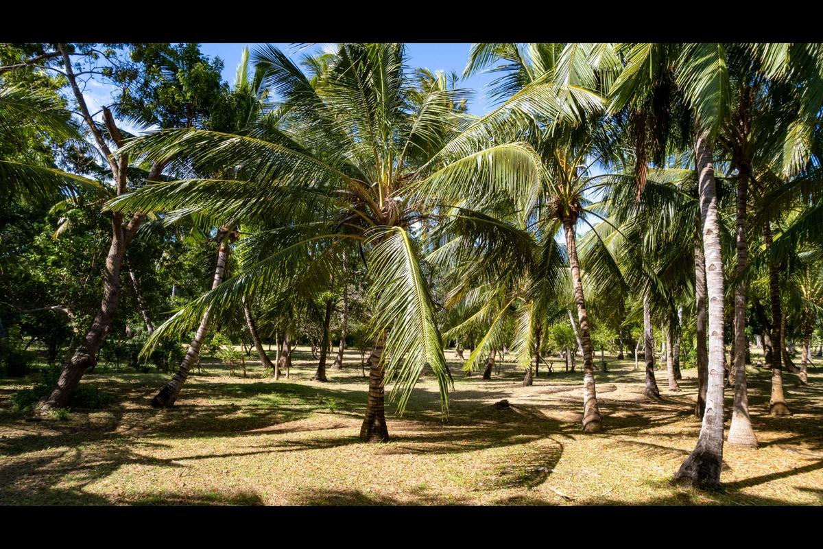 Residential Land in Kikambala - 11