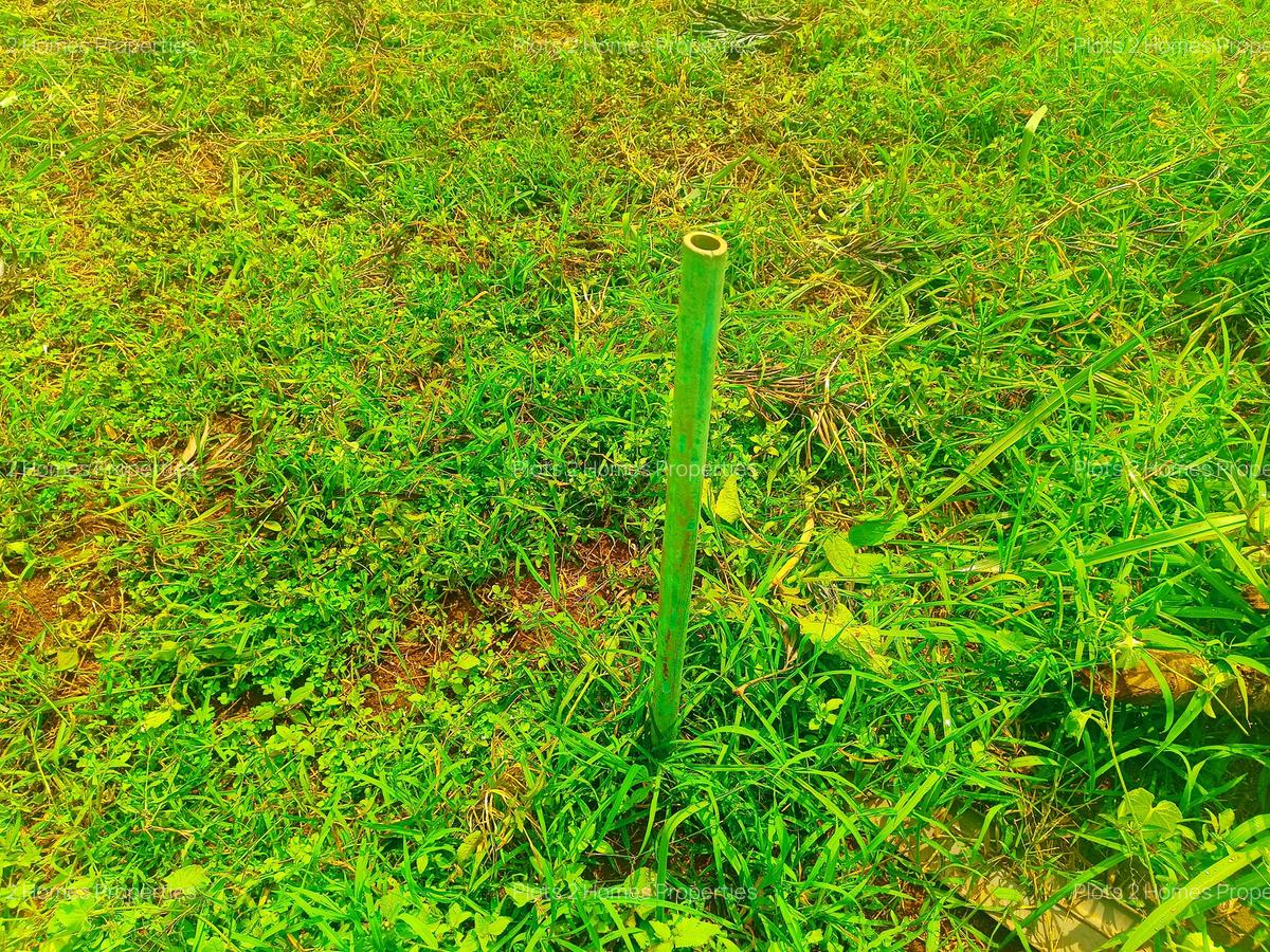 1,000 m² Residential Land at Oaklands Estate - 4