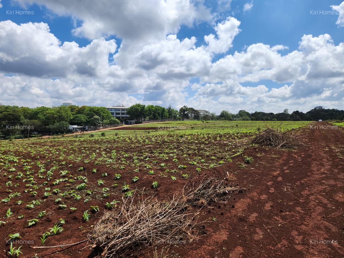 Land in Kitisuru - 11