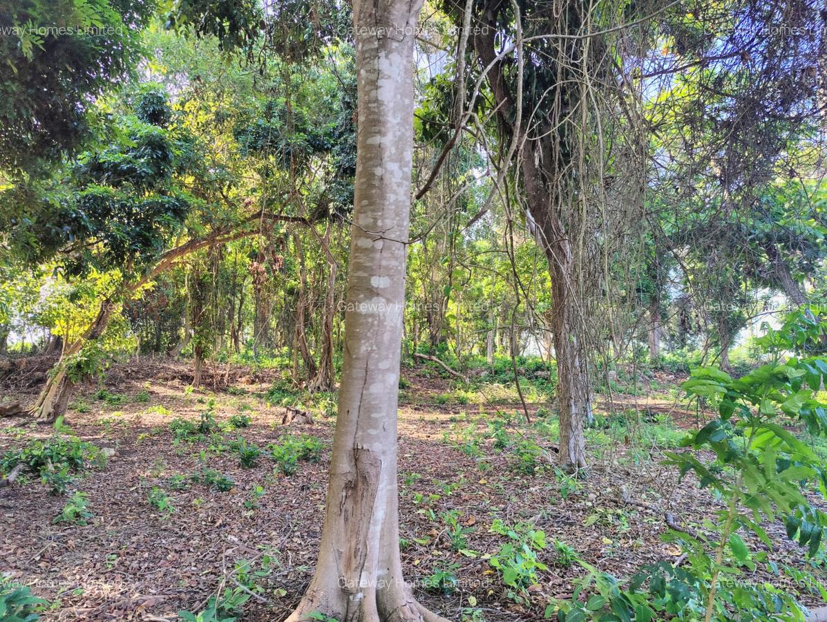 5,000 m² Land at Diani Beach Road - 1