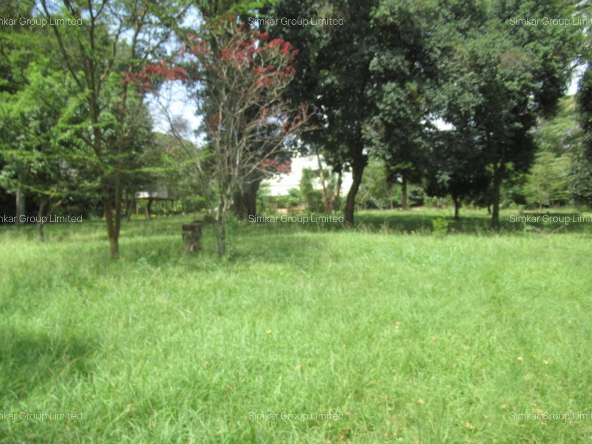 Residential Land at Koitobos Rd - 8
