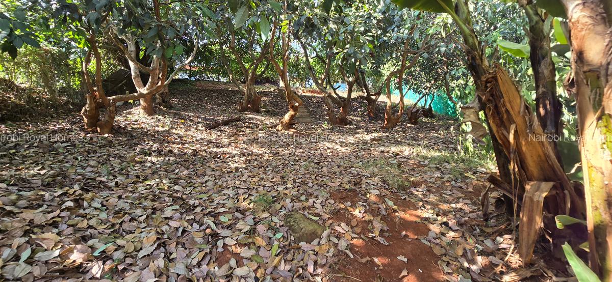 4 Bed House with En Suite at Loresho Loresho - 5