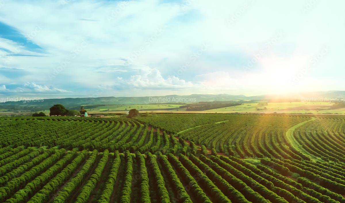 1 ac Land at Riara Ridge - 1