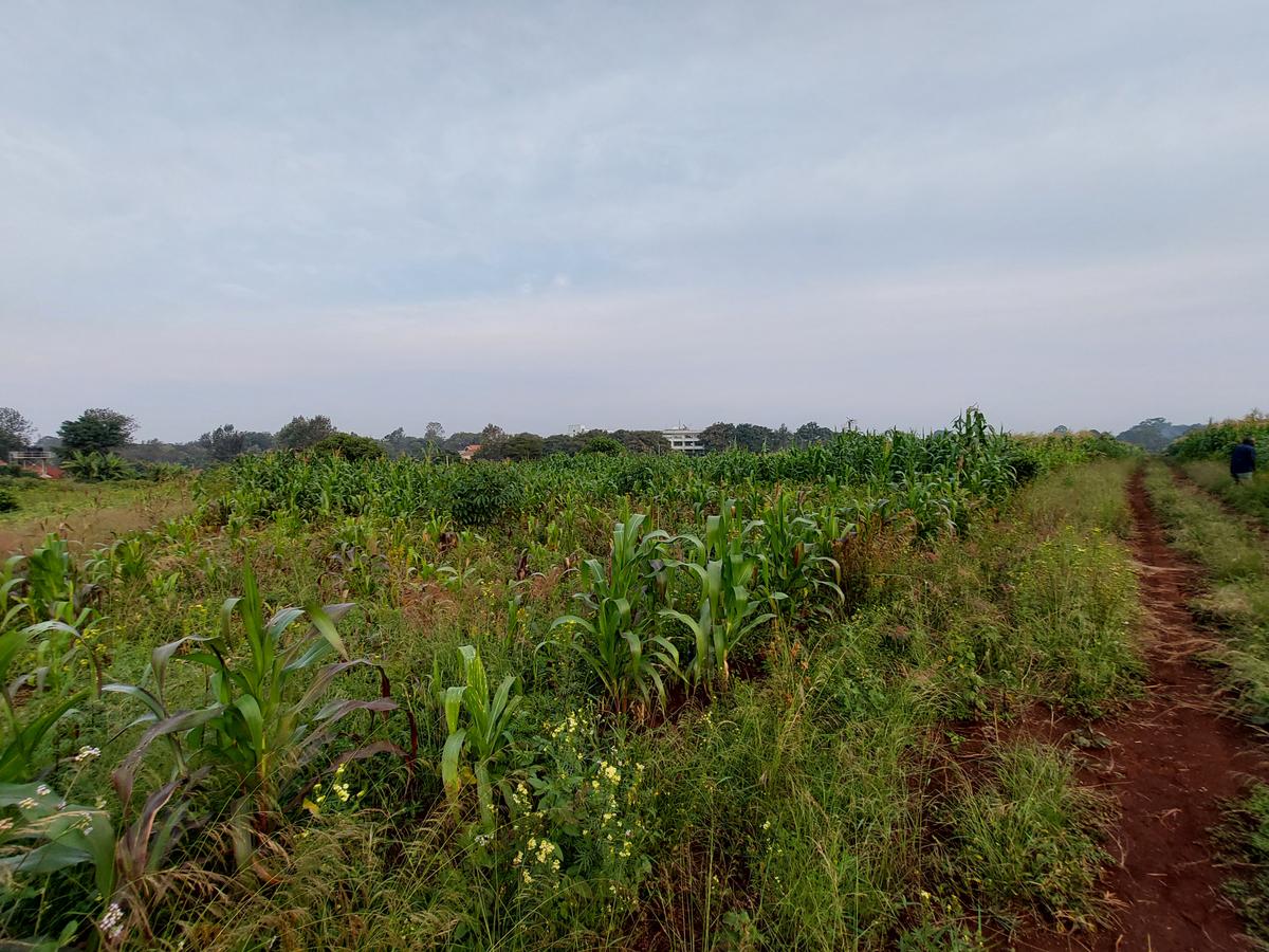 Residential Land at Kirawa Road - 7