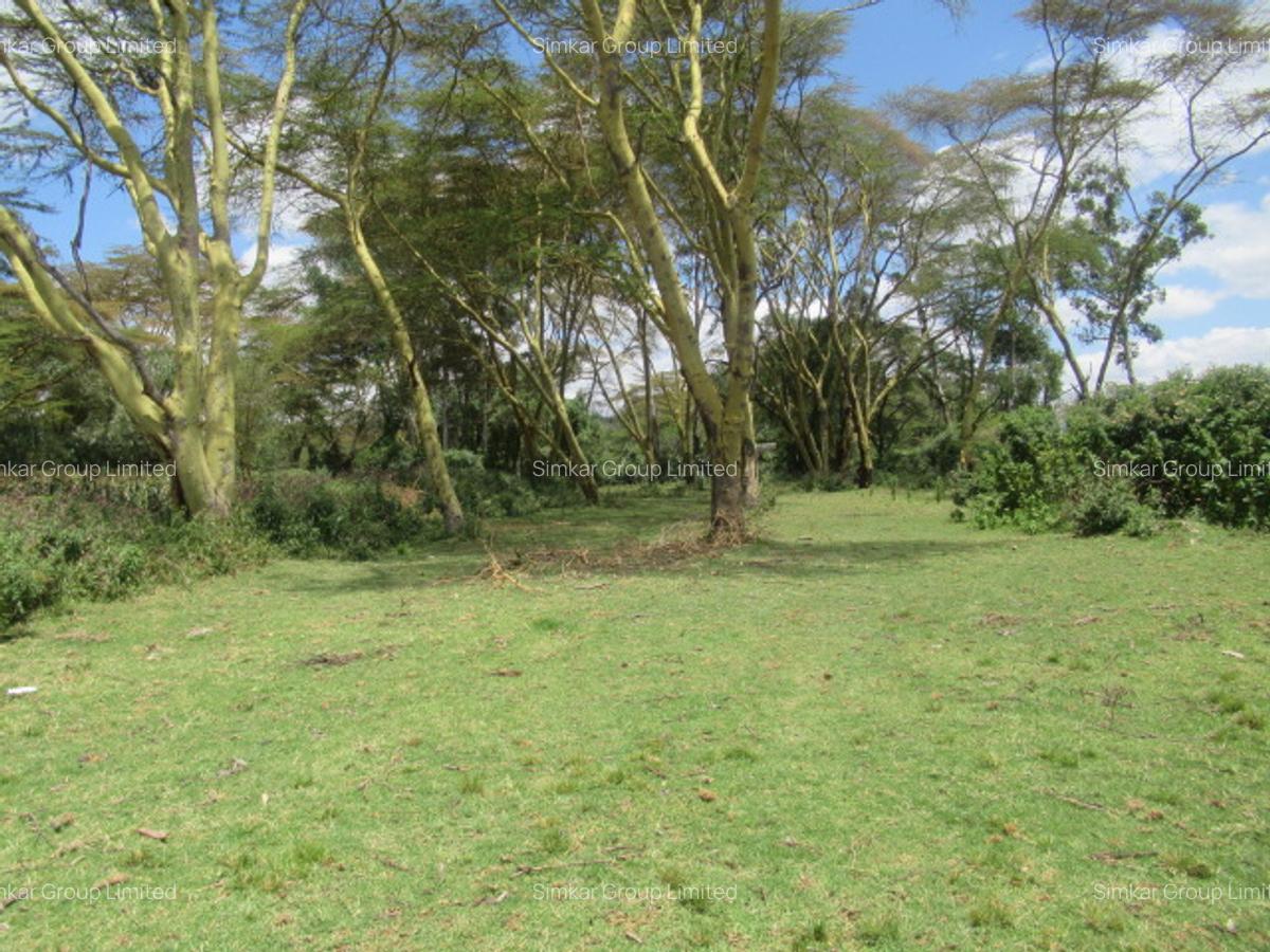 25 ac Land at Moi S Lake Rd - 11