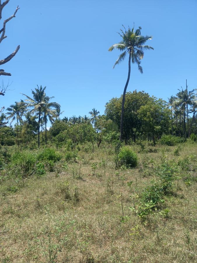 40 ac Residential Land in Kilifi - 4