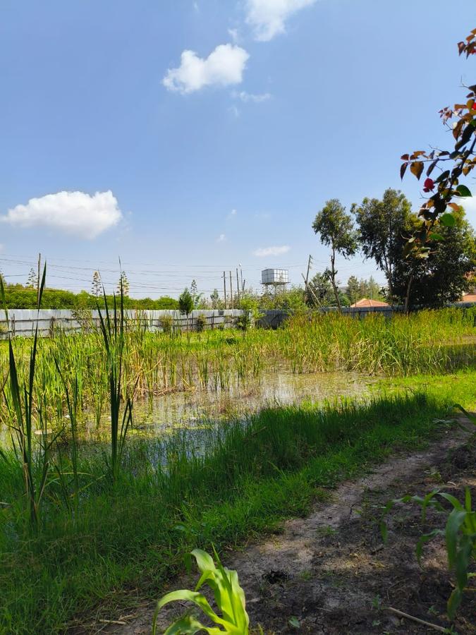 Residential Land at Karen - 1