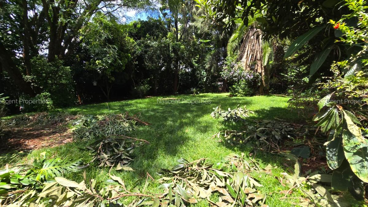 4 Bed House with En Suite in Rosslyn - 14