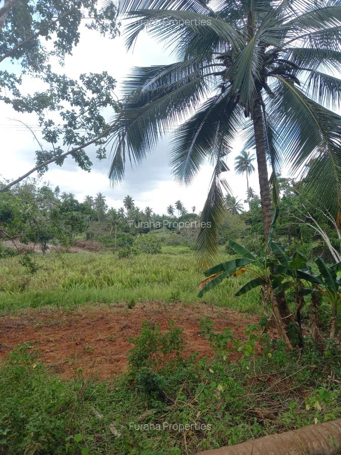6 ac Land at Msambweni - 6