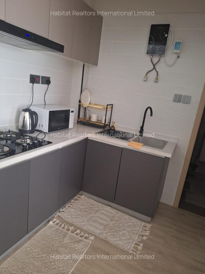 Furnished 1 Bed Apartment with En Suite at Hatheru - 13