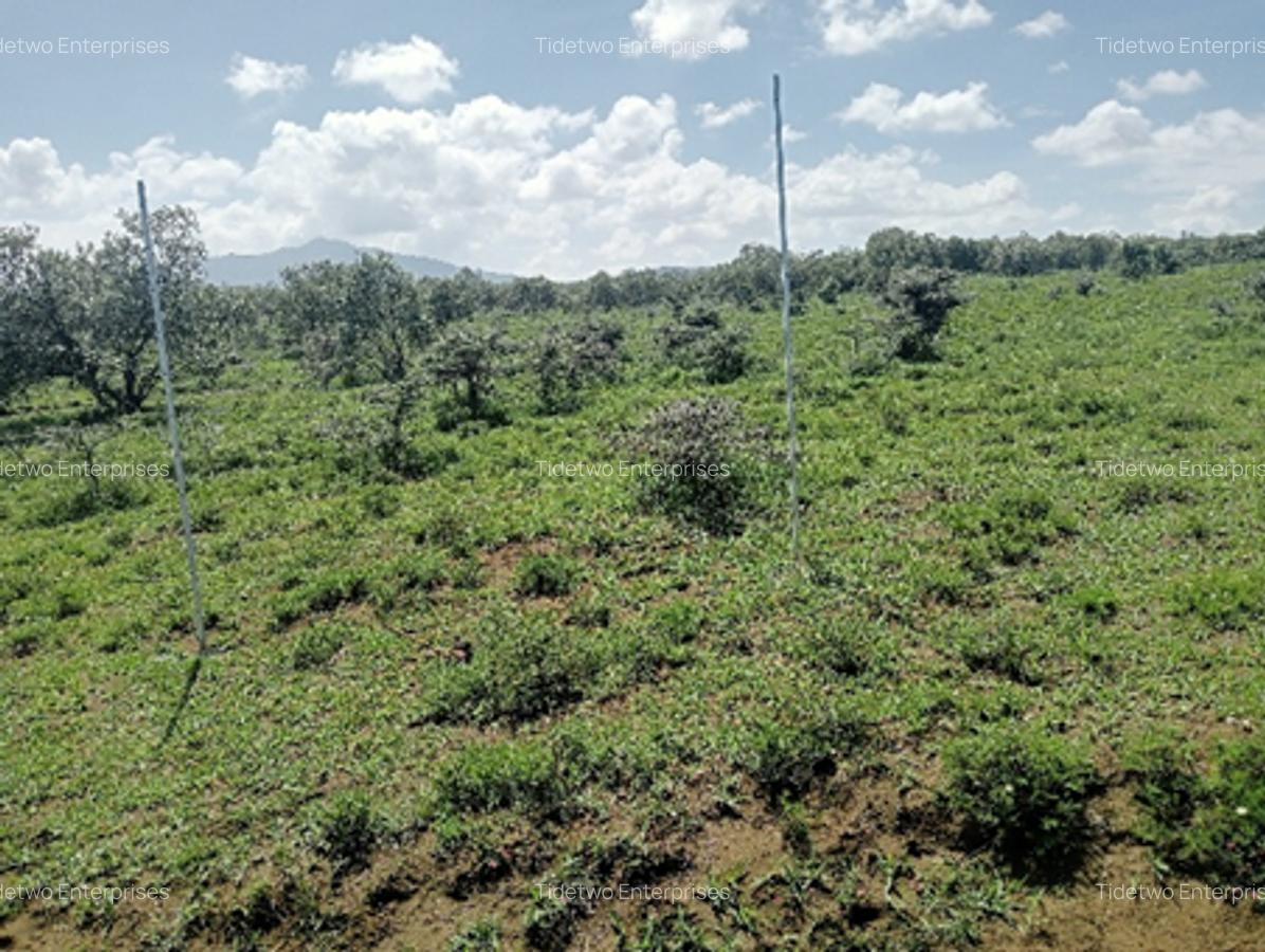 Land in Naivasha - 1