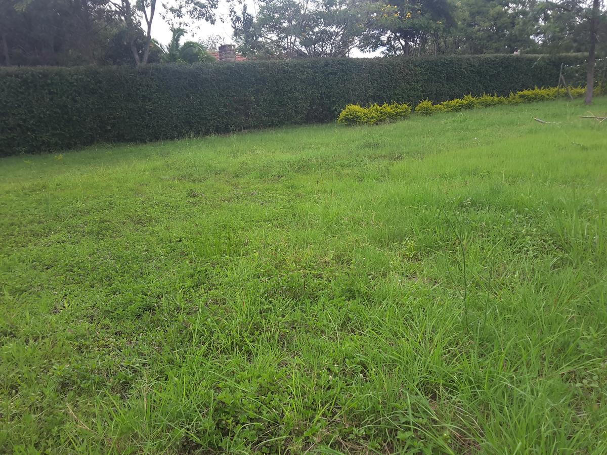 0.1 ha Residential Land in Ongata Rongai - 5