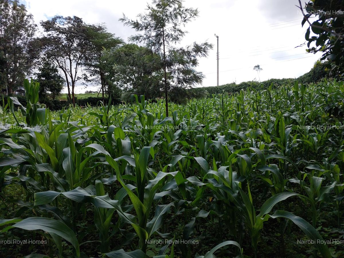 Land at Kirawa Road - 2