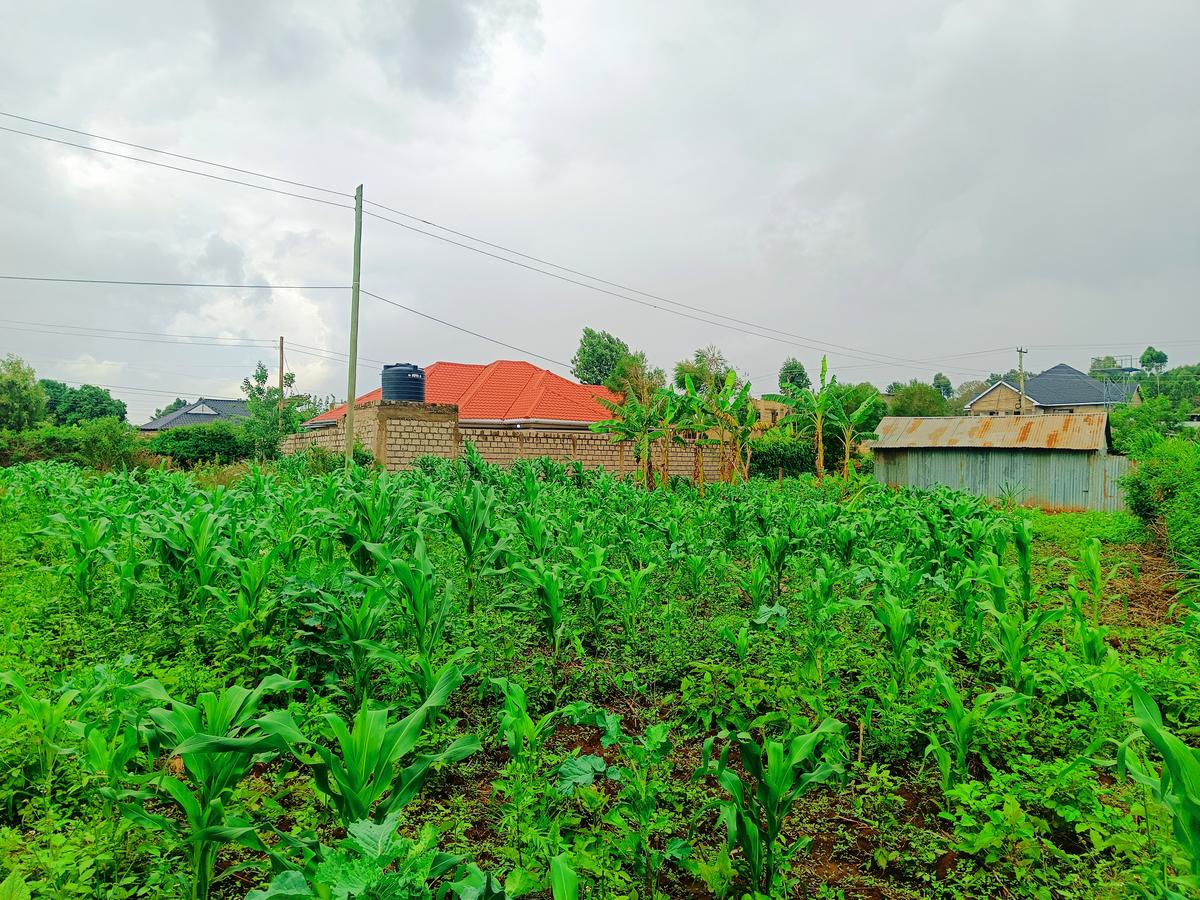 500 m² Residential Land at Riu-Nderi - 3