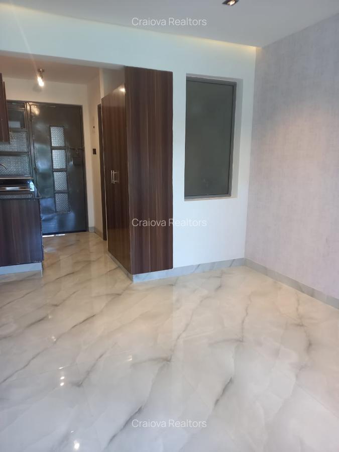 Studio Apartment with En Suite at Naivasha Road - 3