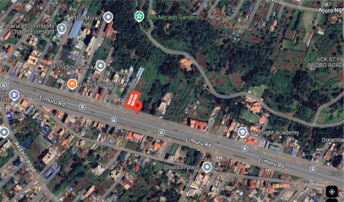 10,000 ft² Land at Ruaka Limuru Road Nairobi - 1