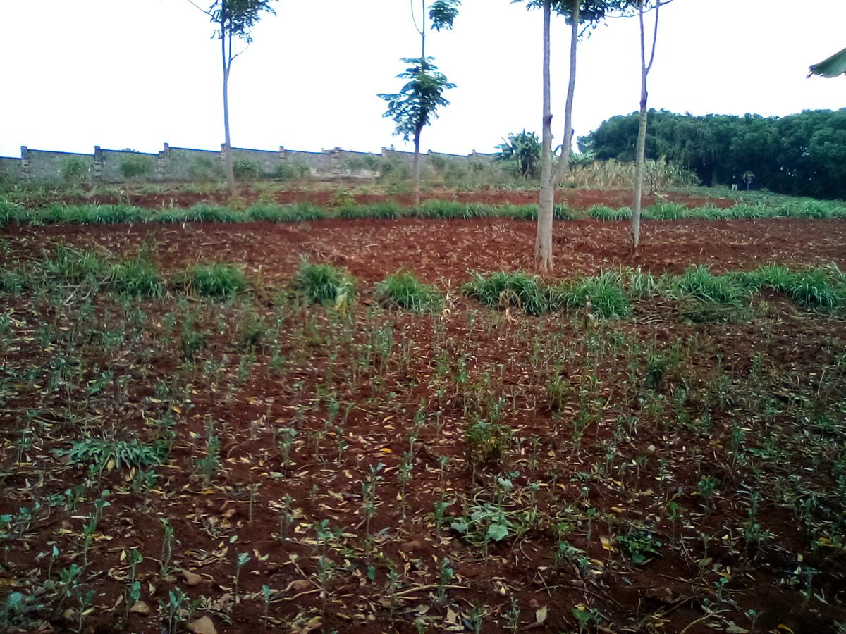 Land at Runda - 9