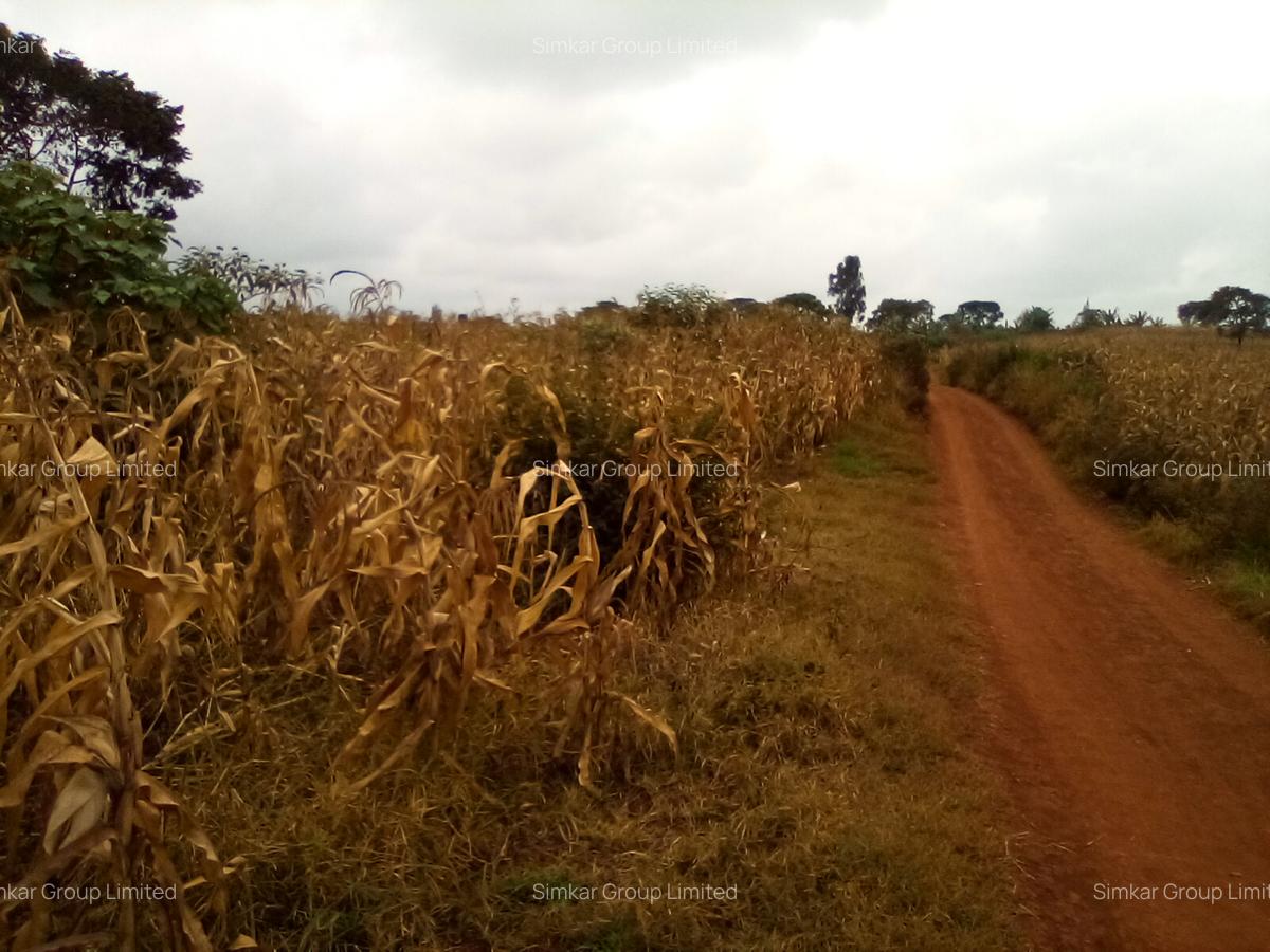 Land at Manira Trail - 14