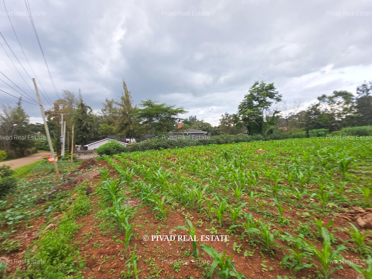 0.5 ac Land in Ridgeways - 3