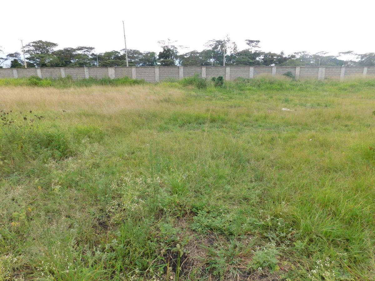 Residential Land in Karen - 5