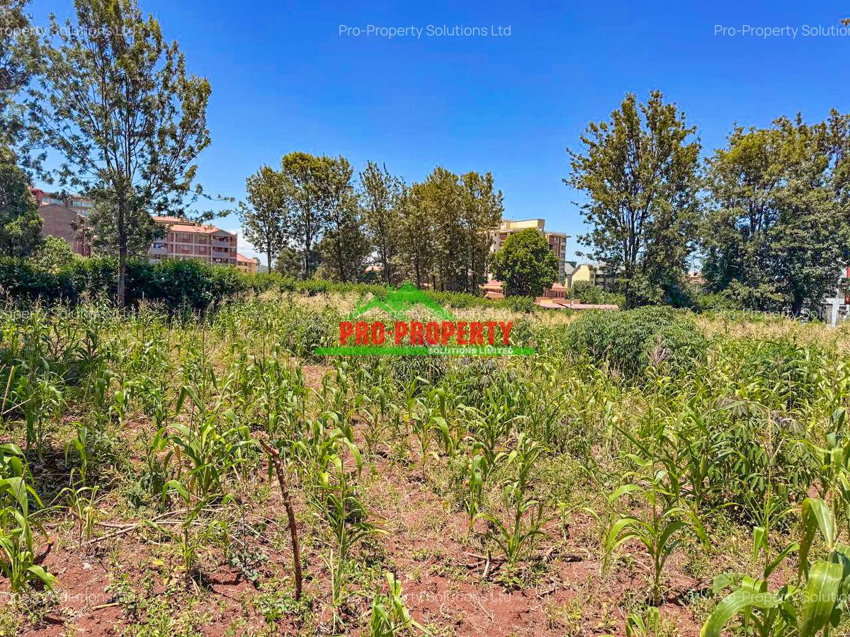 0.1 ha Residential Land at Kenyatta Road - 6
