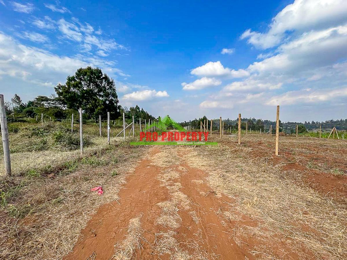 0.125 ac Residential Land at Lusigetti - 3