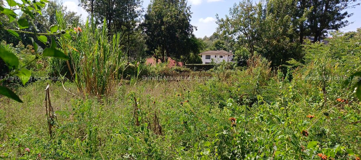 0.1 ha Residential Land at Kerarapon Drive - 3