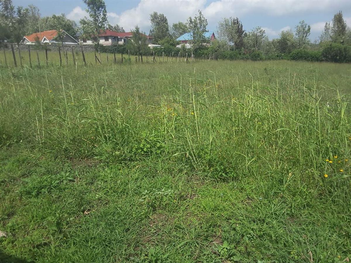 0.113 ac Residential Land in Ongata Rongai - 2