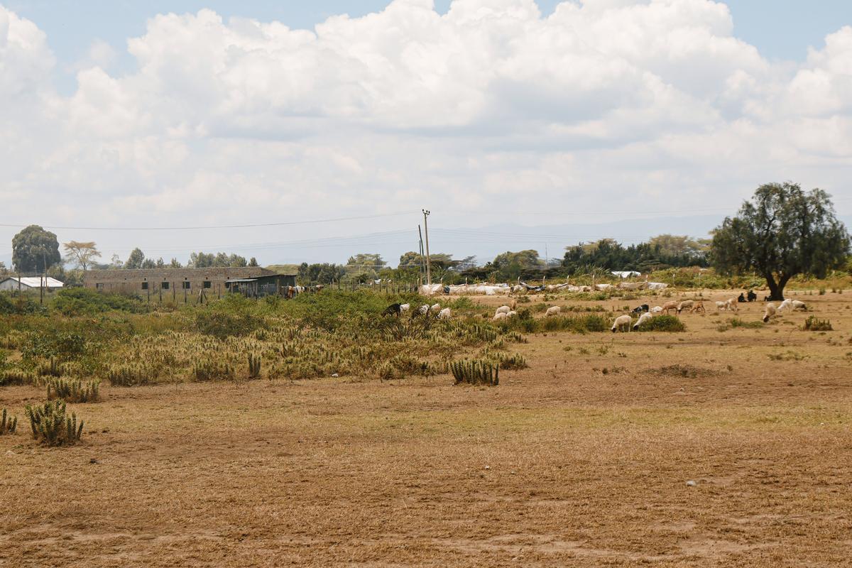 0.045 ac Land at Nakuru-Naivasha Highway - 4