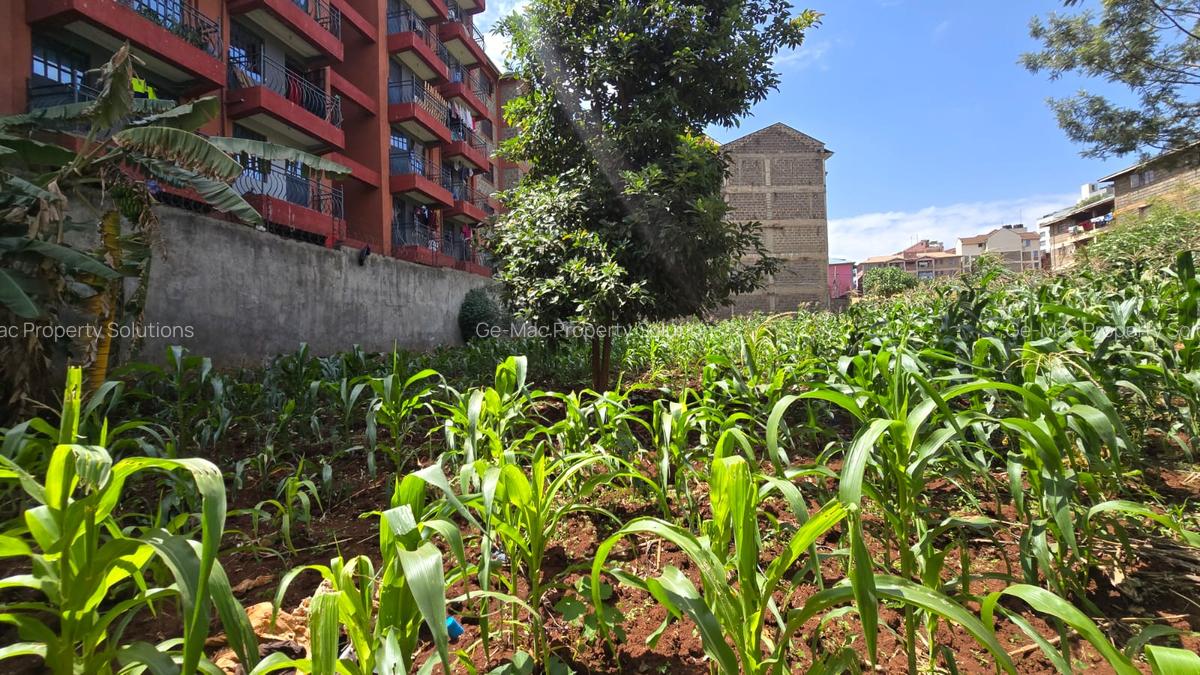 Commercial Land in Ruaka - 1