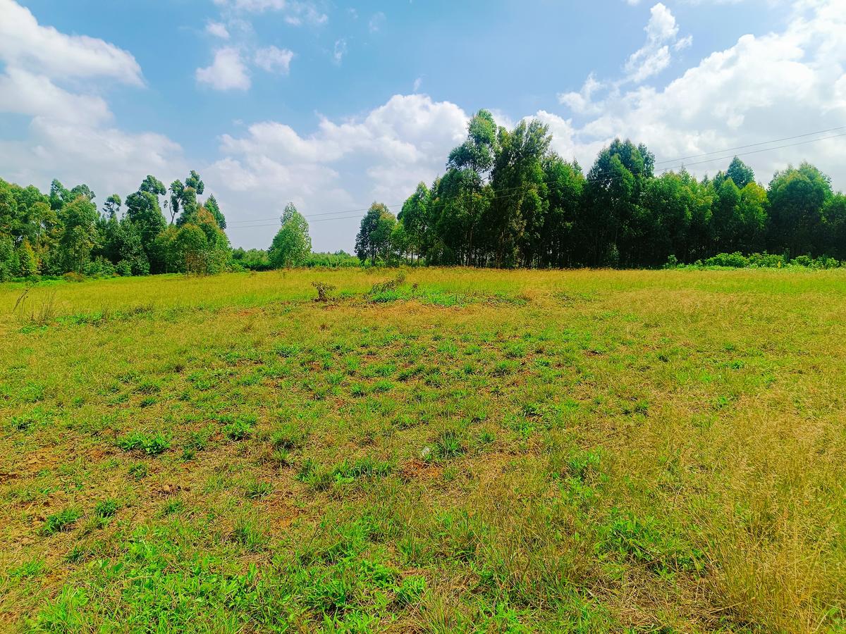 500 m² Residential Land at Thigio - 9