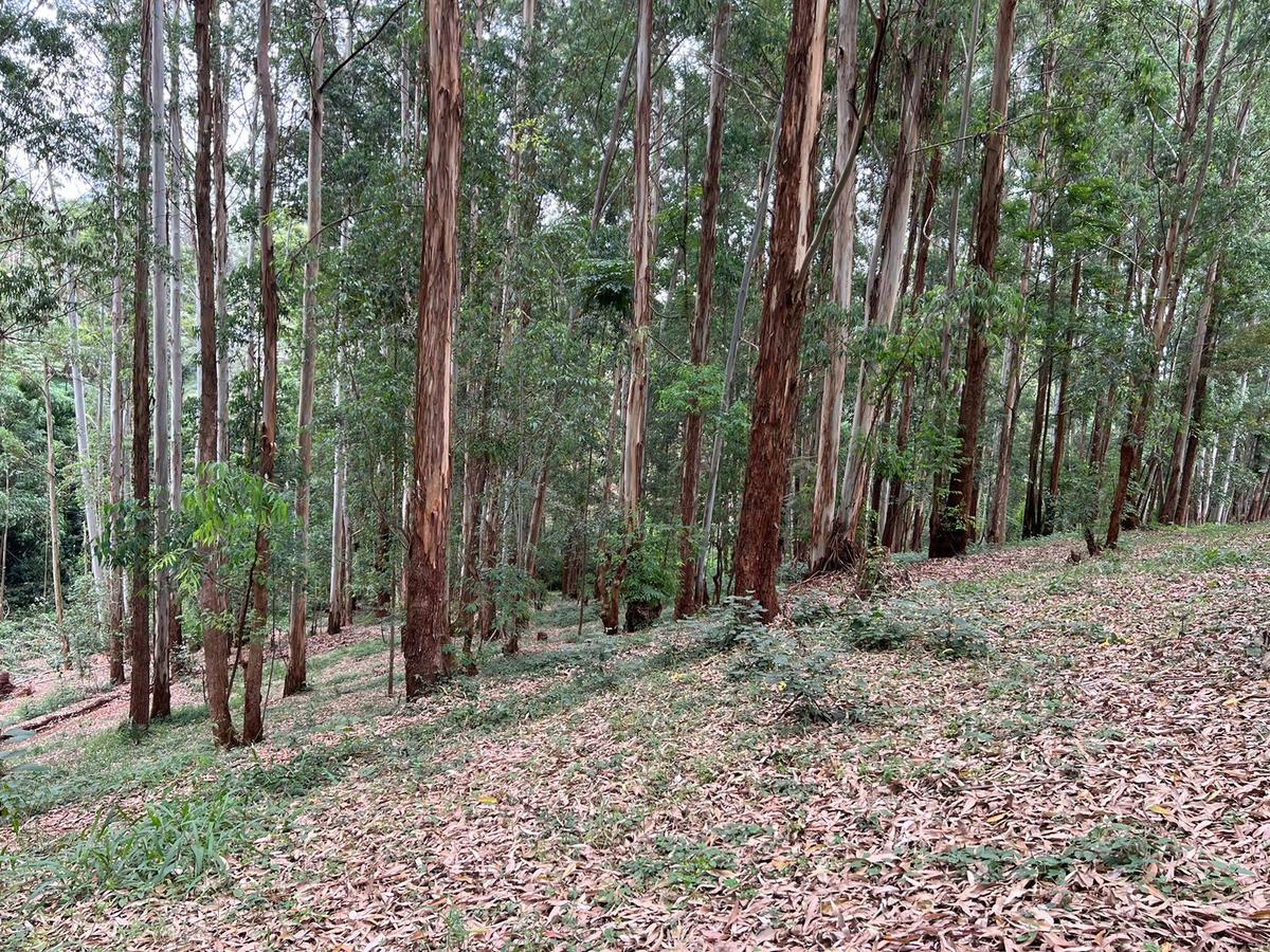 Residential Land at Nyari Estate - 4