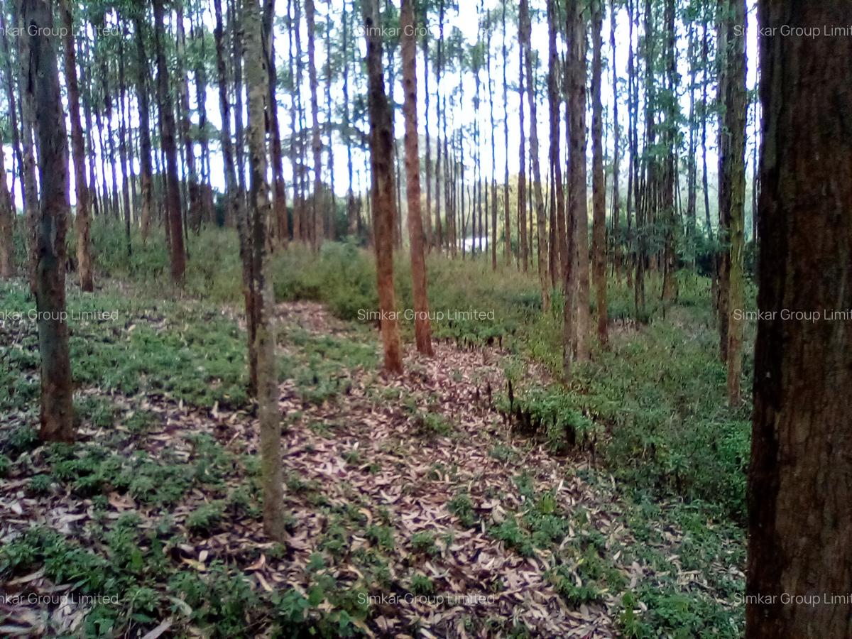 Land at Upper Matasia - 7