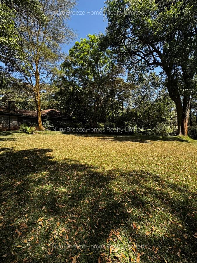 2.7 ac Land in Karen - 11